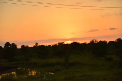 DSC_4235 (Large).JPG